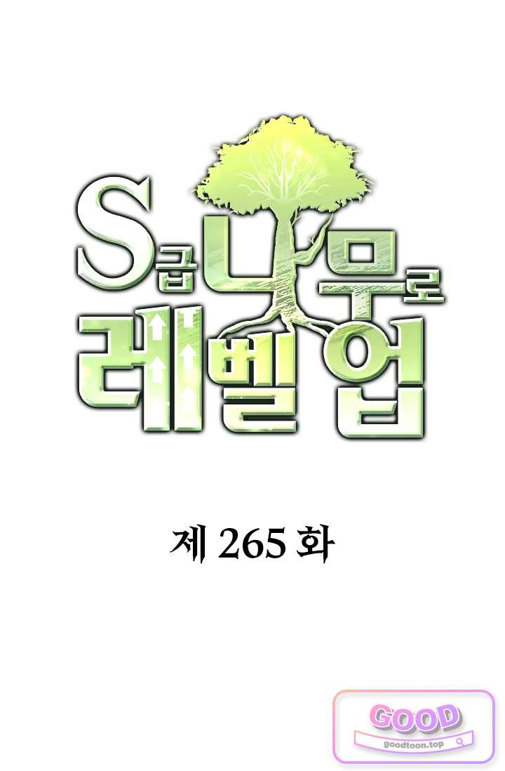 S급 나무로 레벨업 265화 1