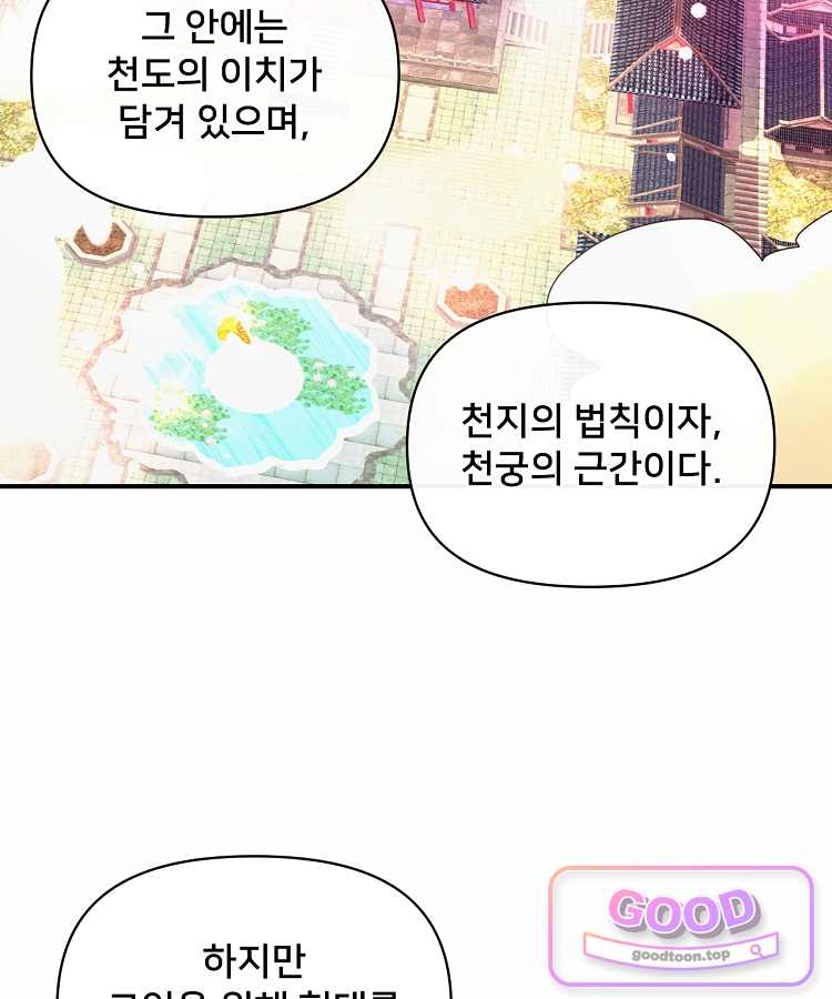 알고 보니 최강 신선 330화 43