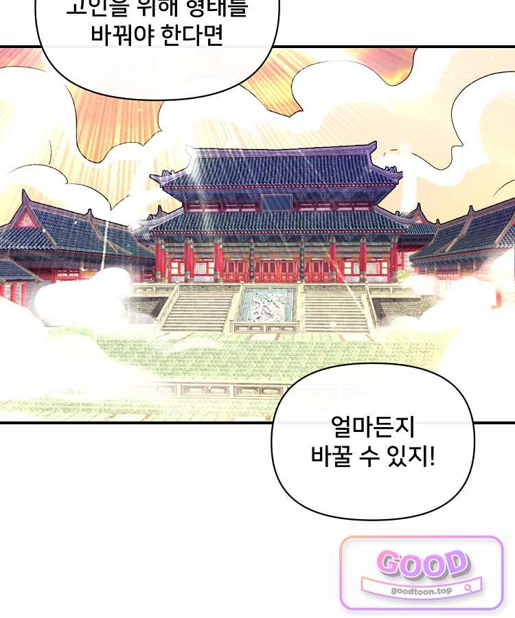 알고 보니 최강 신선 330화 44