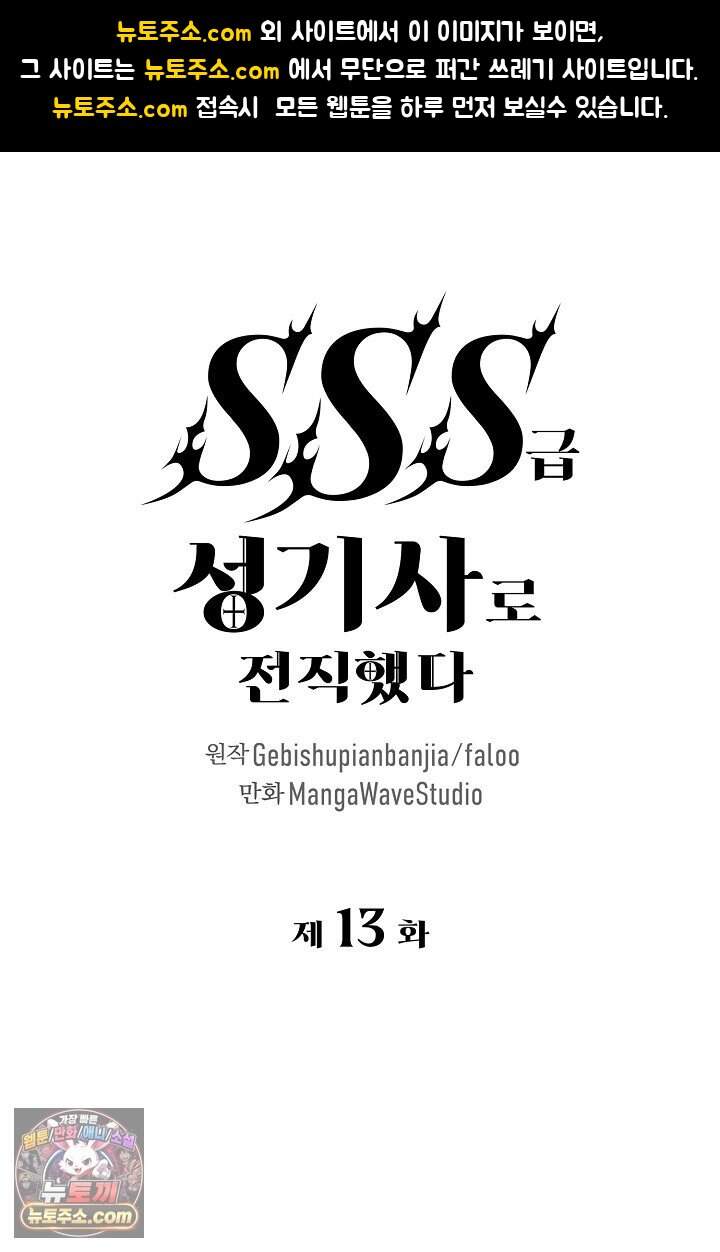 SSS급 성기사로 전직했다 013 1