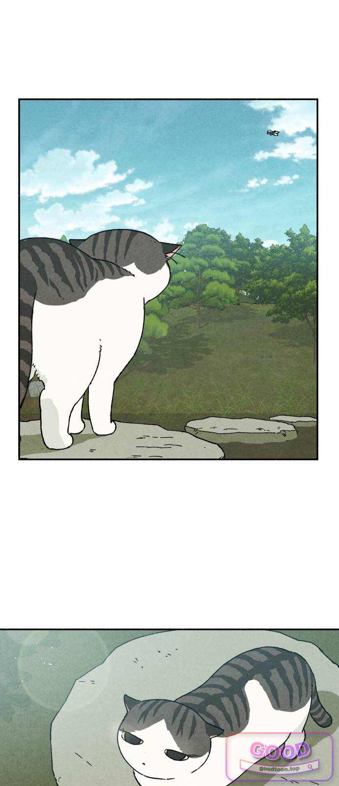 나랑 같이살아 7화 달리는 하루 10