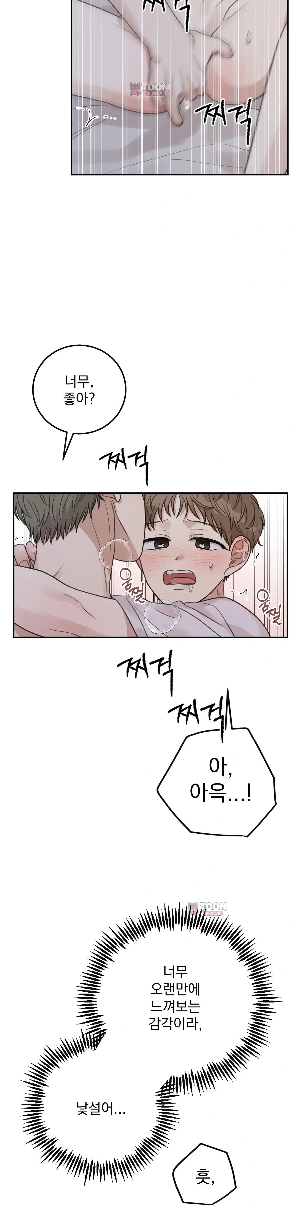 샌드위치 패러독스 51화 6