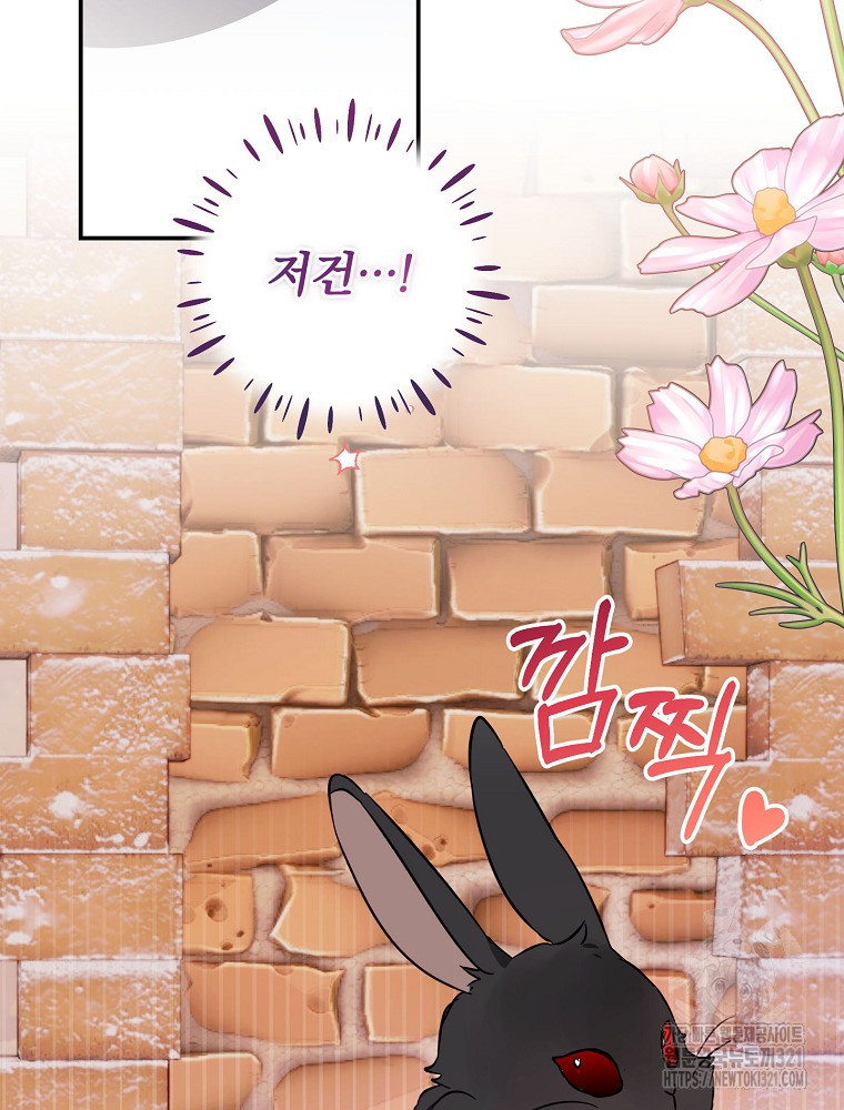 남주의 아이는 싫습니다 11화 2