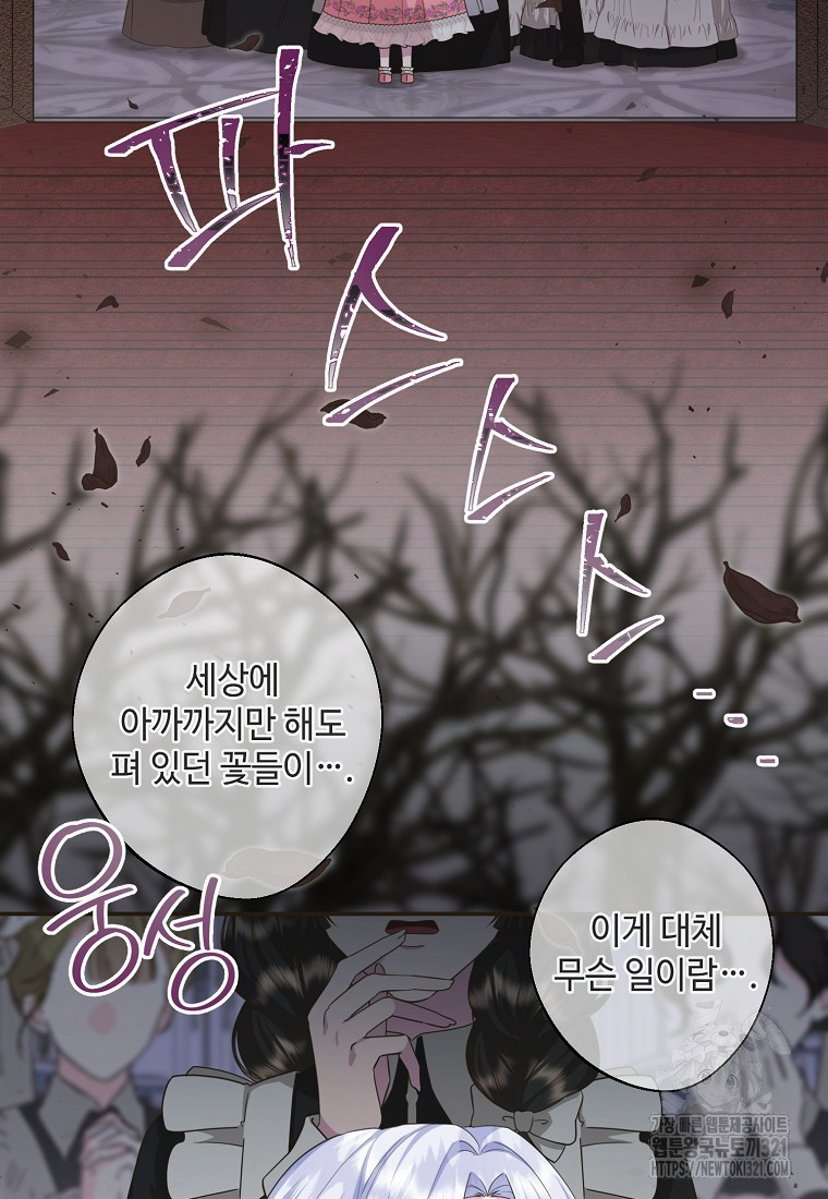 후원에 핀 제비꽃 26화 14