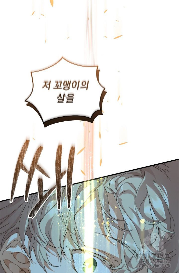 흑막 남주의 시한부 유모입니다 13화 53