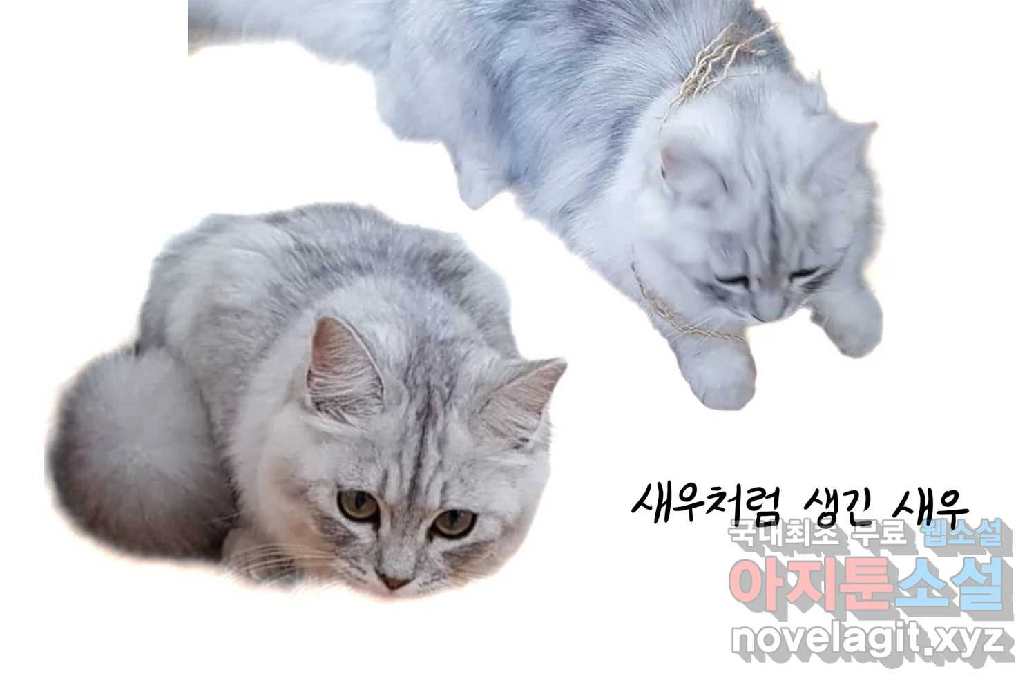 재활용 머학생 45화 파이의 기원 73