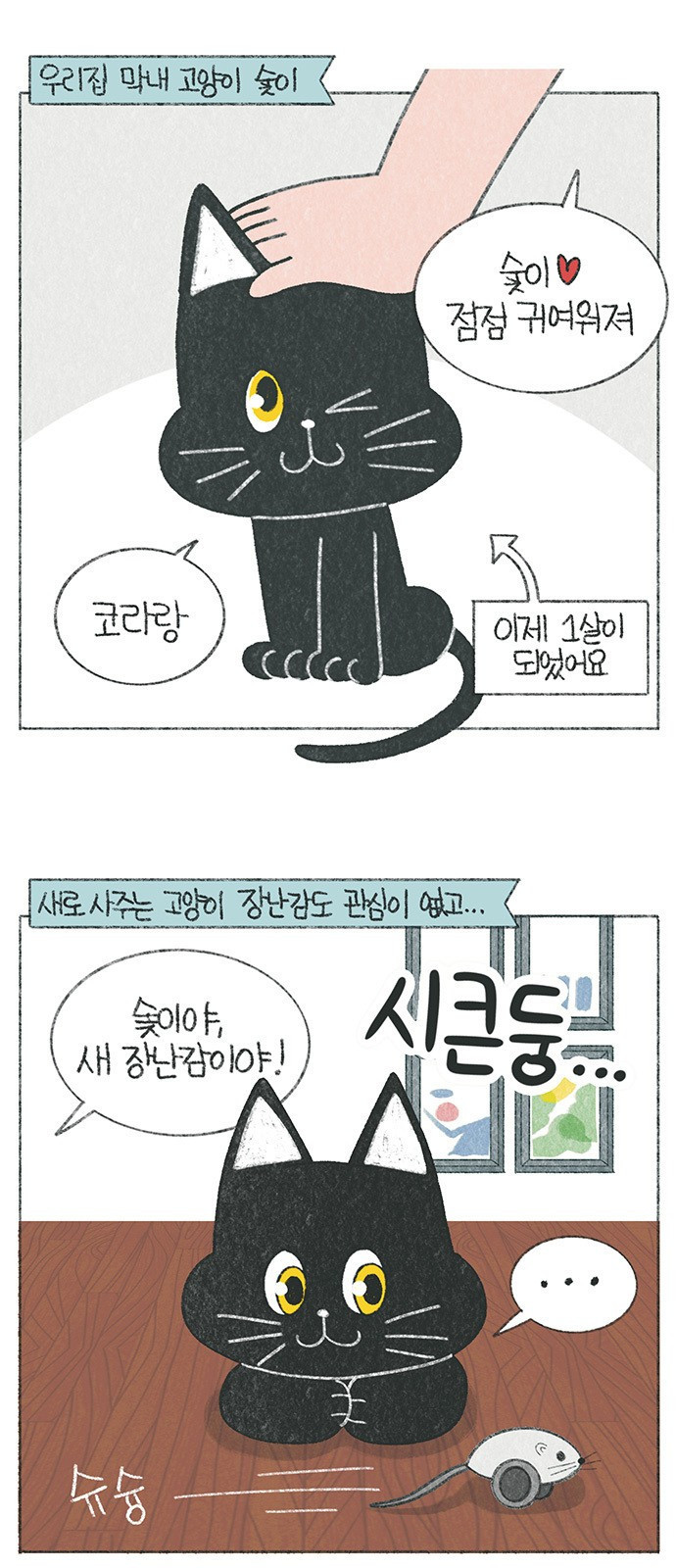 마님이네 미국 시골집 이야기 48화 숯이의 새 장난감 1