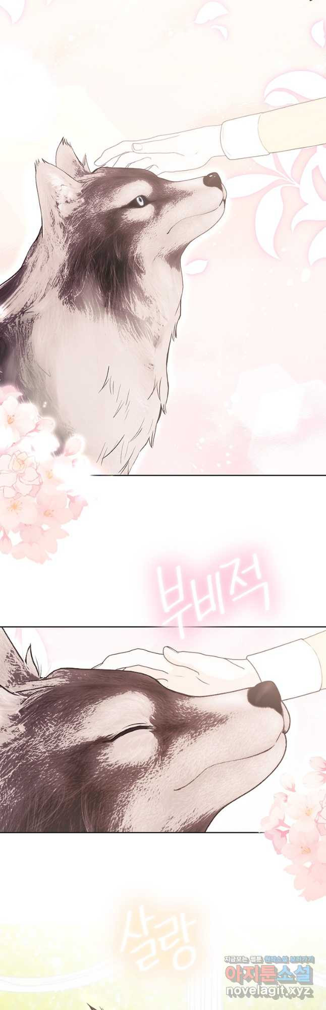 그 남자는 제 친오빠인데요, 공작님 76화 10
