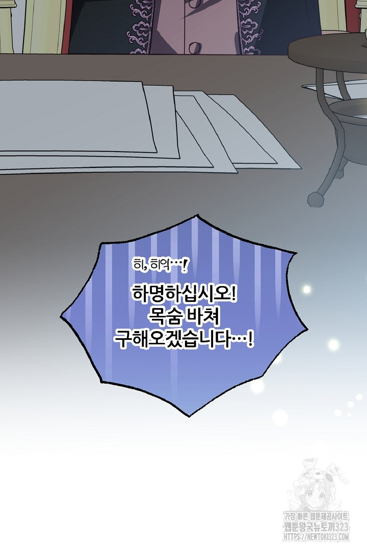 공작님의 모든 것 26화 9