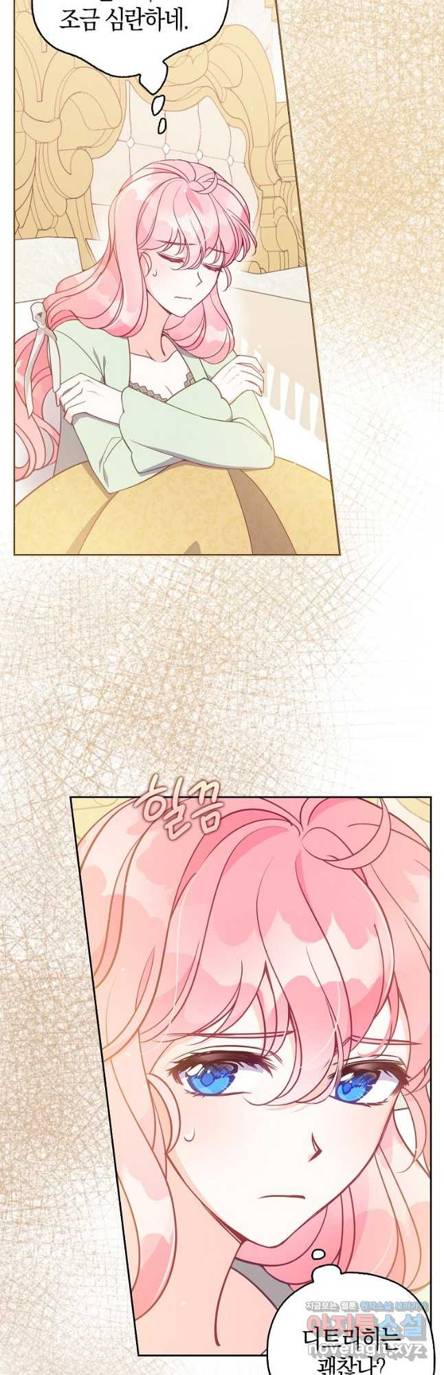 악당 대공님의 귀하디귀한 여동생 외전 4화 2