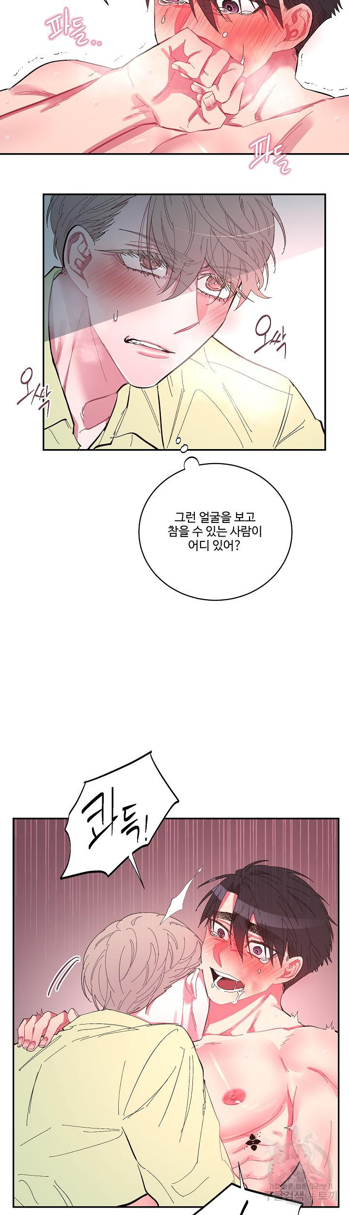 손안의 꽃 17화 13