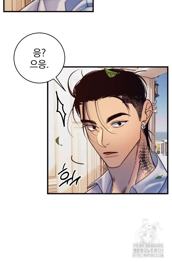 저택 영춘화:낙하산지 블라우스 4화 28