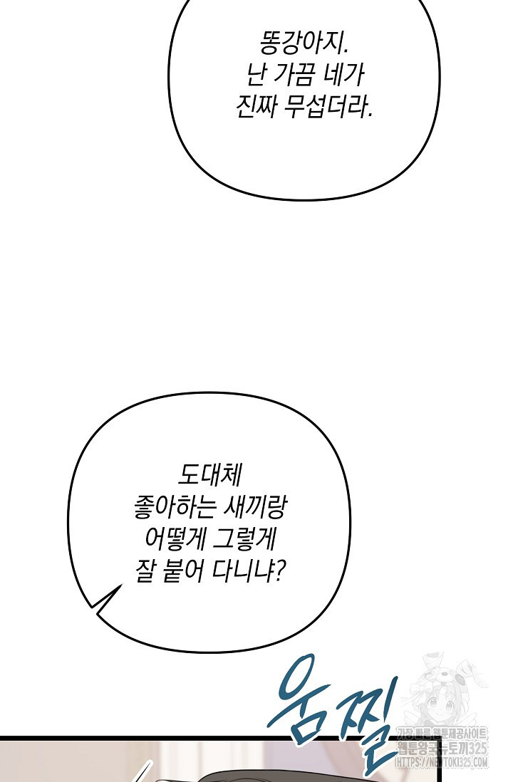 햇빛 샤워 40화 48