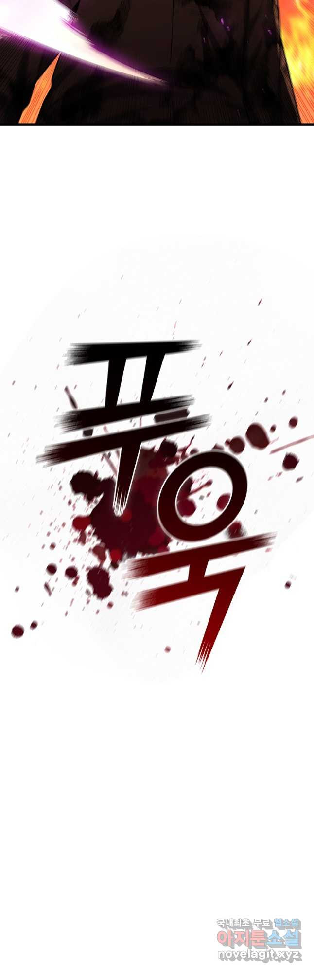 용을 삼킨 마법사 50화 21