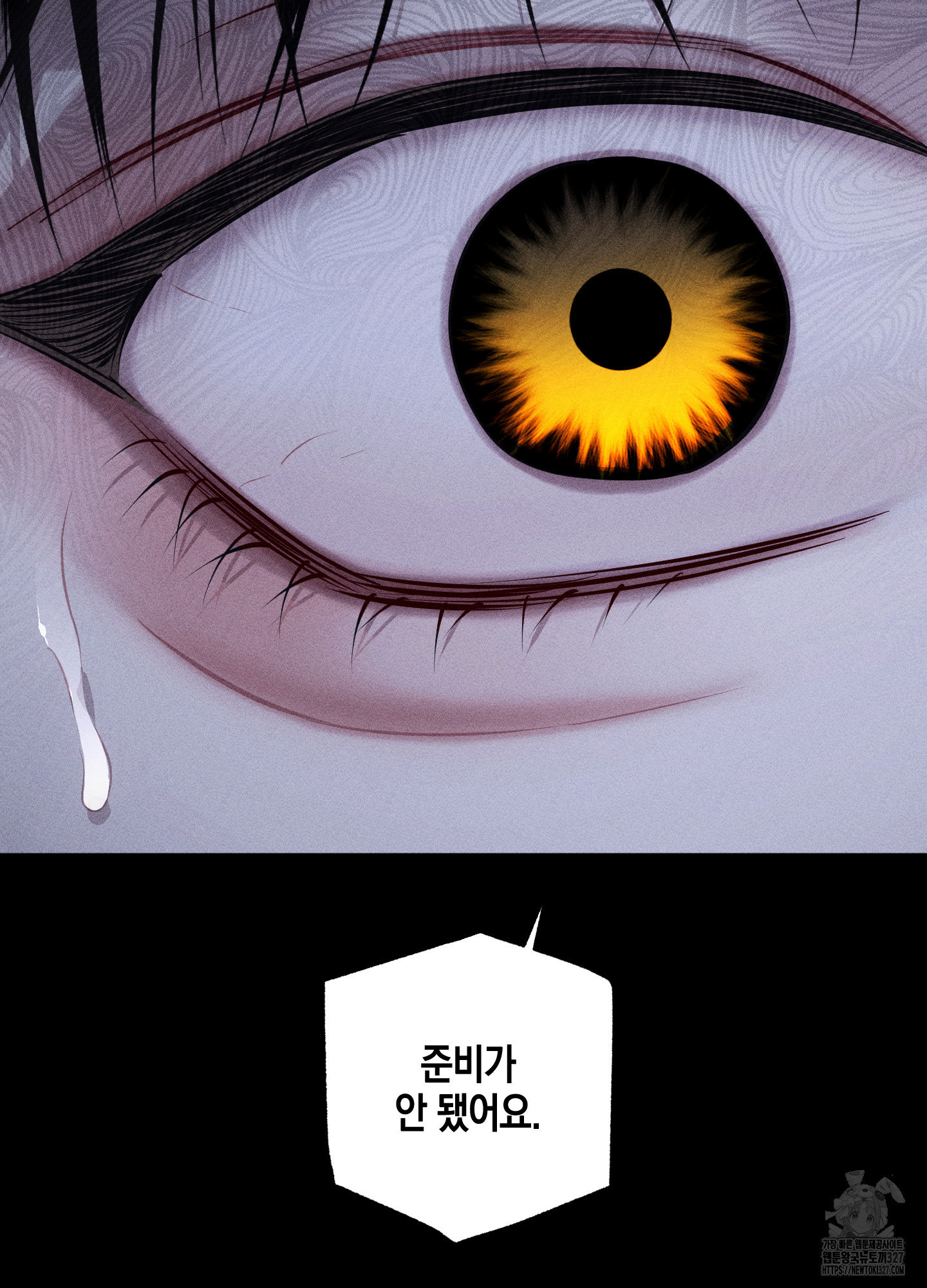 깨진 사랑의 형태 41화 17